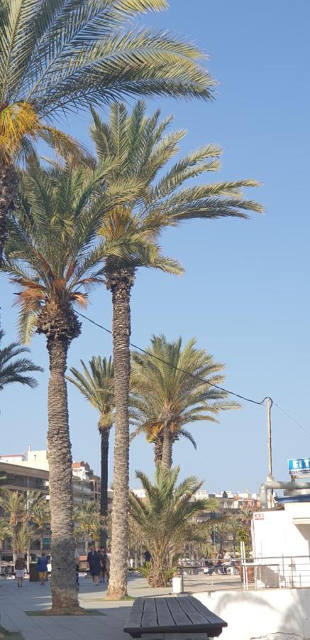 Costa Blanka Resident Apartman Torrevieja Exterior photo